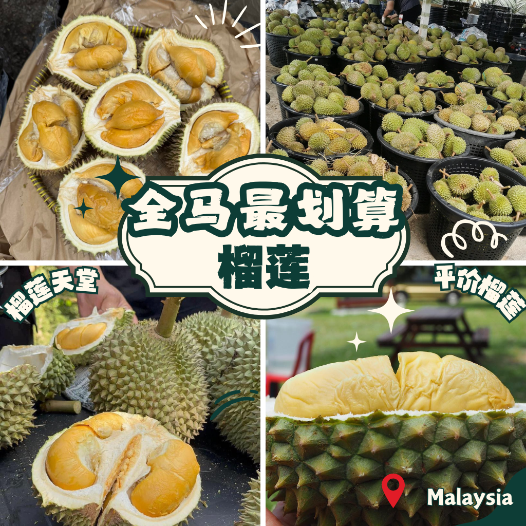 榴莲季沸腾全马！果园吃到饱、拍到疯，这种生活谁不想要？