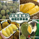 JB榴莲档