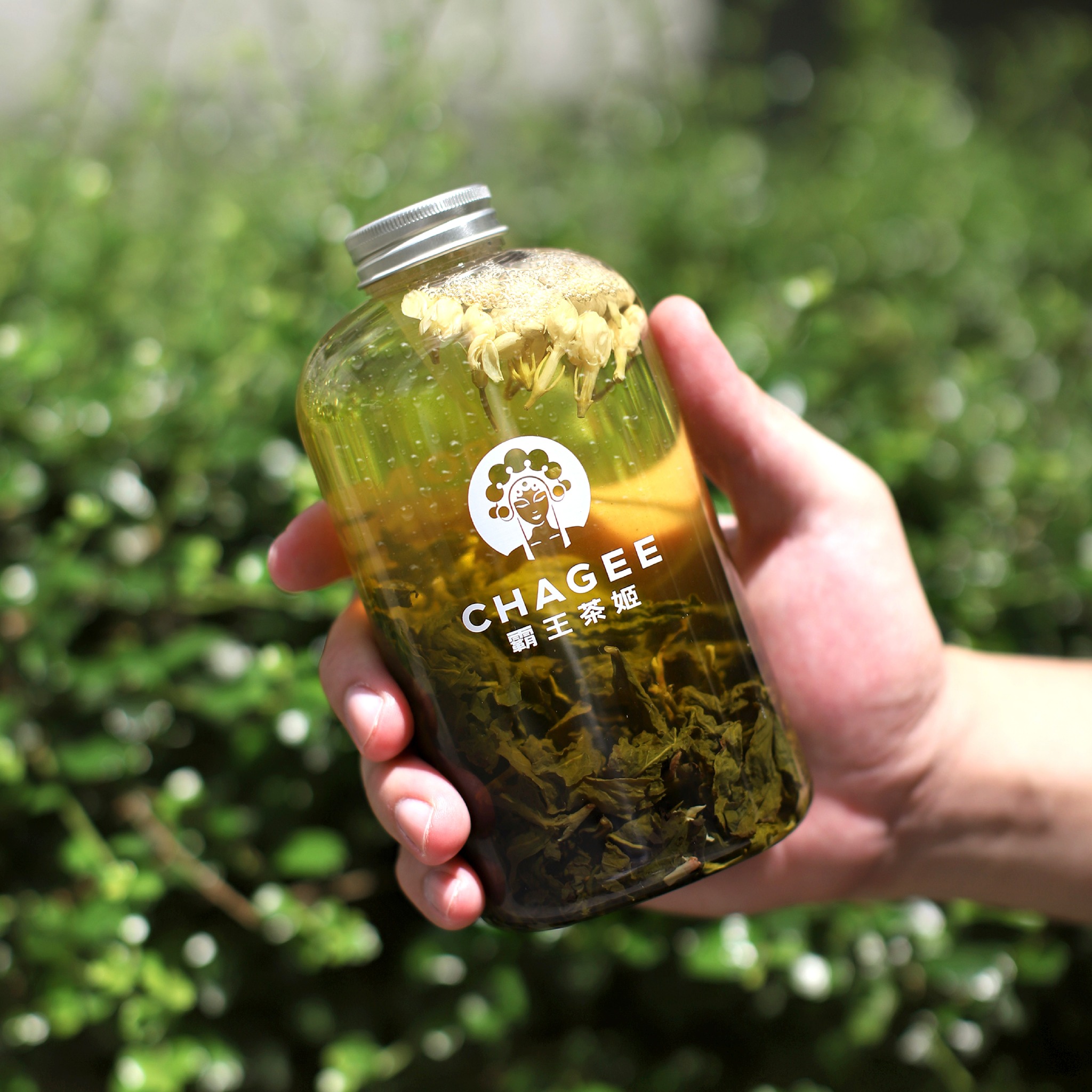 茶